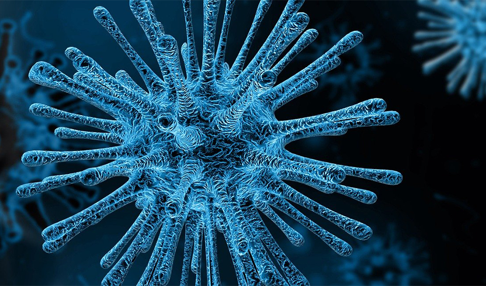 coronavirus covid-19